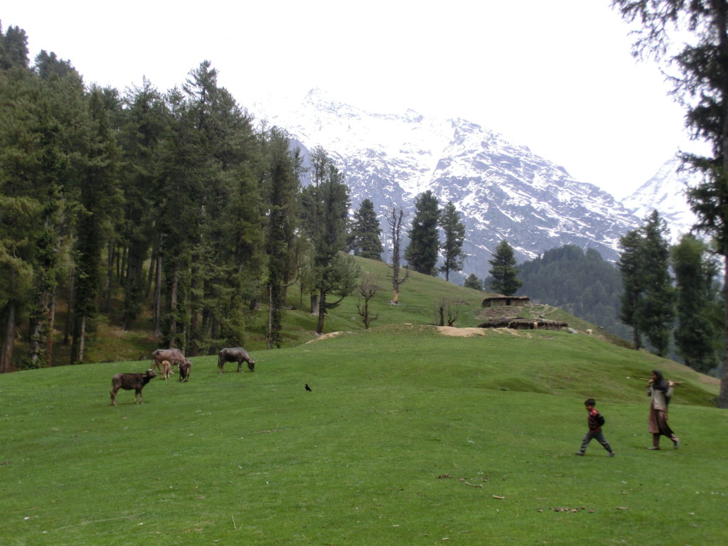 Kashmir at destination Pahalgam show beauty of landscape