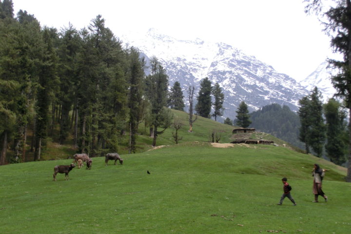 Kashmir at destination Pahalgam show beauty of landscape