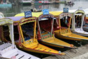 Shikara Boats on the Dal Lake, Srinagar, Kashmir, India