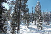 Gulmarg Kashmir snow view