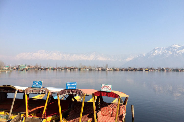 Shikara Boats on the Dal Lake, Srinagar, Kashmir, India