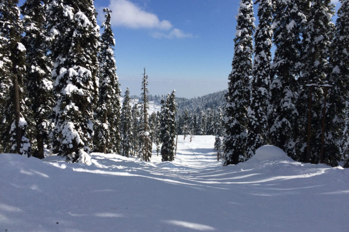 Gulmarg Kashmir snow view