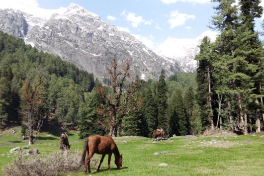 Pahalgam