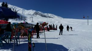 Skiing in Gulmarg - restaurants