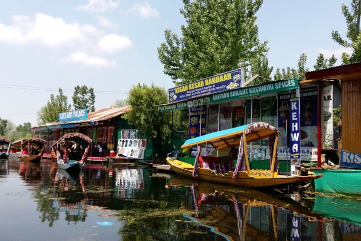 Shikara boats on Dal Lake at the swimming market, Srinagar, Kashmir, India