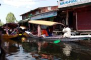Shikara boats on Dal Lake at the swimming market, Srinagar, Kashmir, India