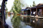 Shikara boats on Dal Lake at the swimming market, Srinagar, Kashmir, India