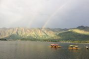 Shikara boats on Dal Lake, Srinagar, Kashmir, India