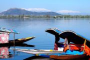 Shikara boats on Dal Lake, Srinagar, Kashmir, India