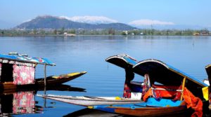 Shikara boats on Dal Lake, Srinagar, Kashmir, India