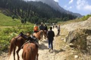 Kashmir budget trip - pony ride in Sonmarg