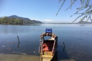 Shikara boat on Dal Lake, Srinagar, Kashmir, India