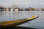 Shikara boat and house boats on Dal Lake, Srinagar, Kashmir, India