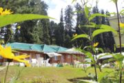 Kashmir budget trip - pine view resort hotel Gulmarg garden