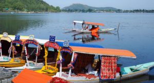 Shikara boats on Dal Lake, Srinagar, Kashmir, India