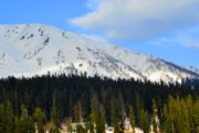 Gulmarg Kashmir mountain with snow and forest