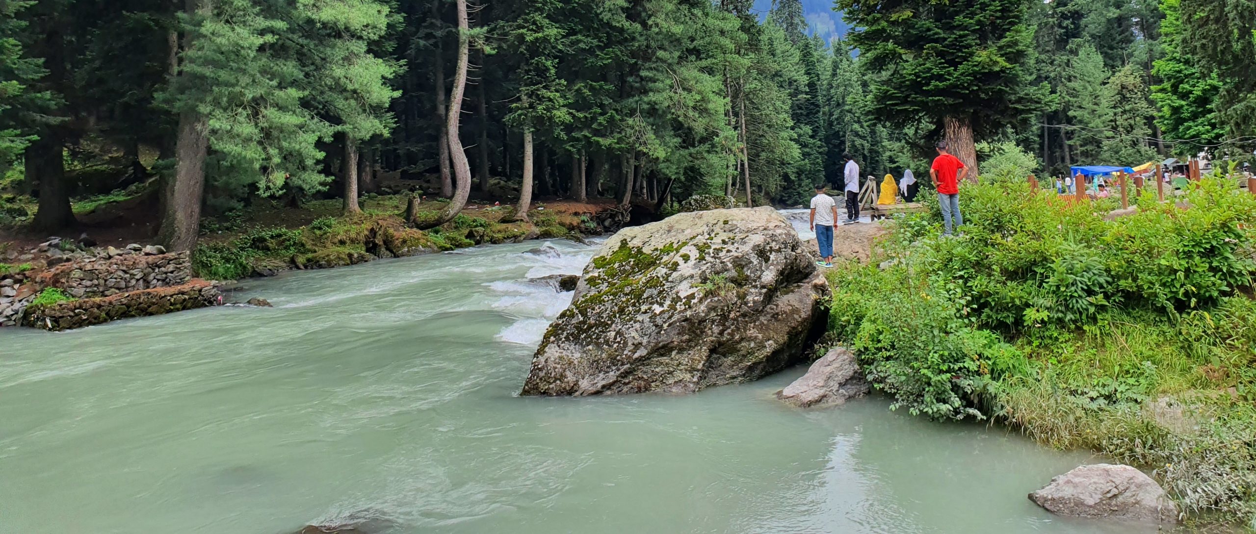 Kashmir – Full Circuit Trekking Tour Package – Comfort trekking in Kashmir, India