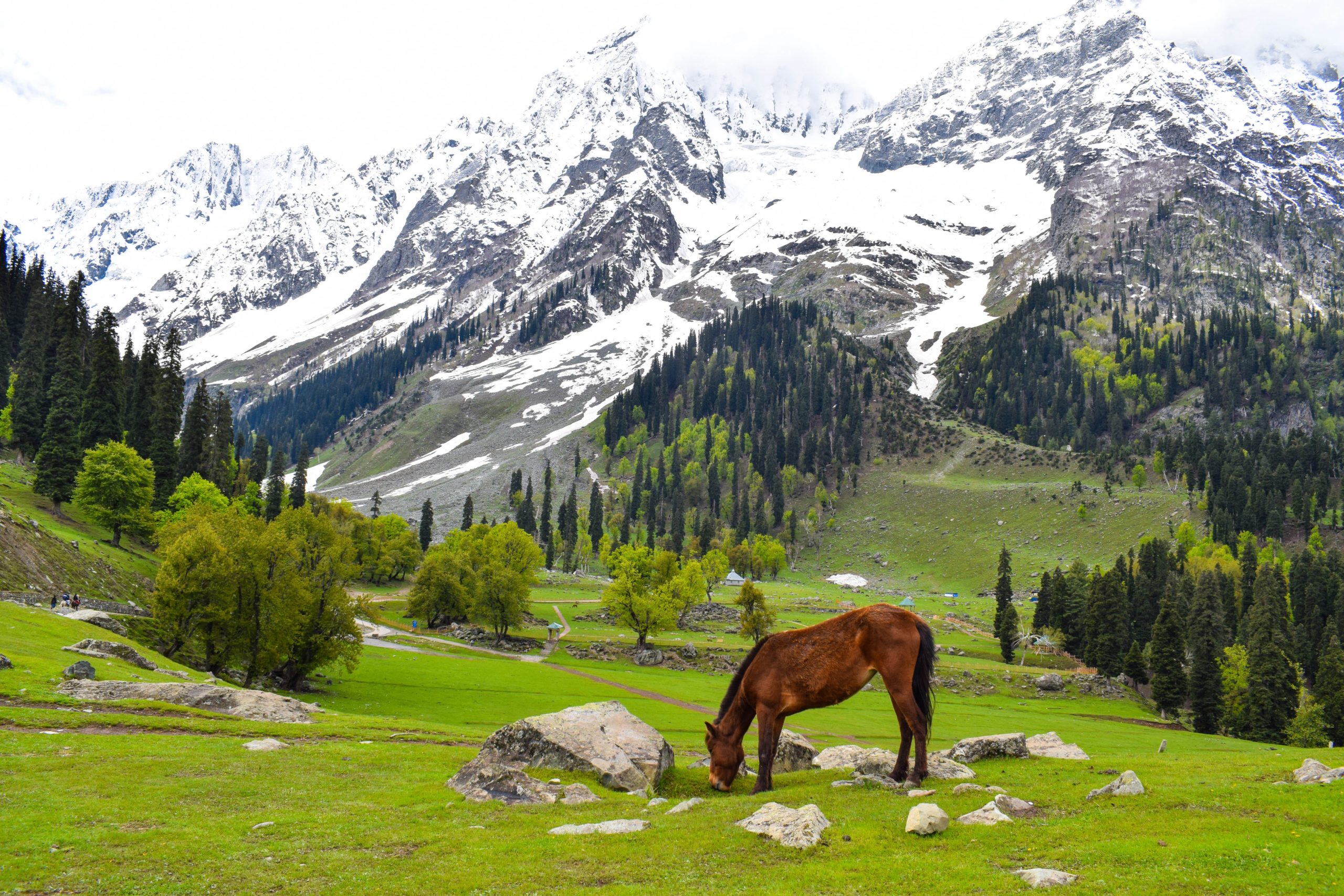 Kashmir – Full Circuit Trekking Tour Package – Deluxe trekking in Kashmir, India